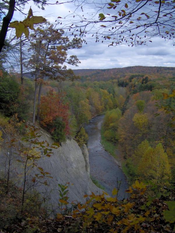 Monkey Run Cliffs